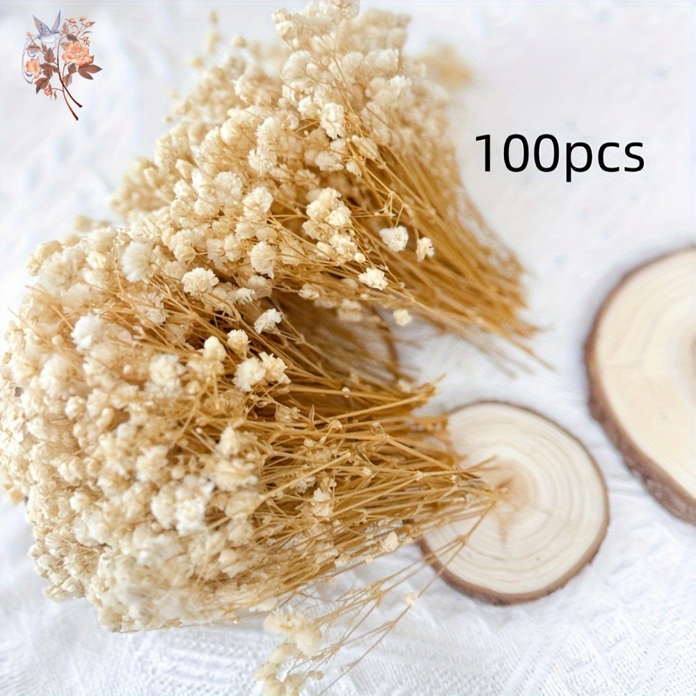 100 قطعة من زهور الجيبسوفيلا ا - مراجعة Craft Embellishments وسعره
